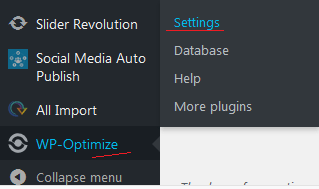 WP-Optimize settings