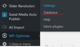 WP-Optimize setting-database