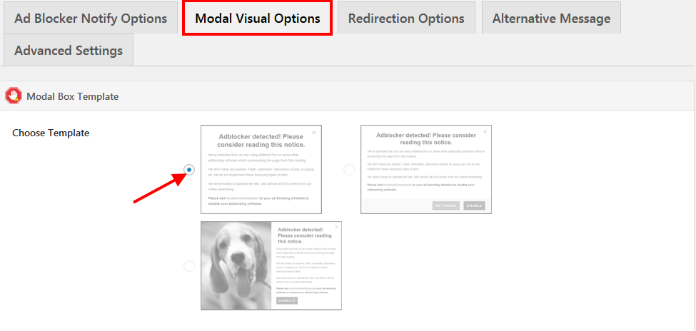 Set modal visual options