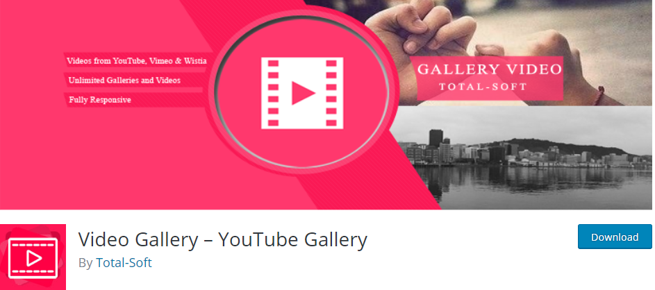 Video Gallery YouTube Gallery WordPress Youtube plugin