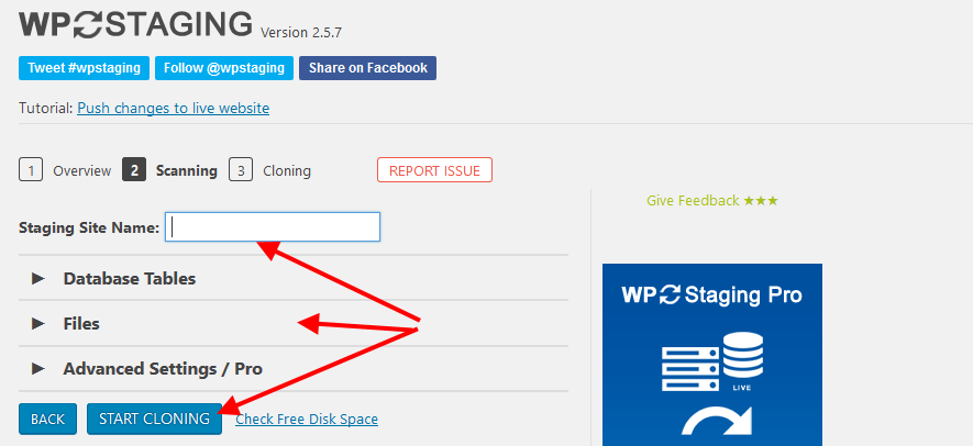 Choose staging site name