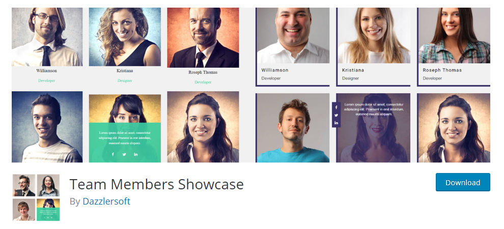Team Members Showcase plugin