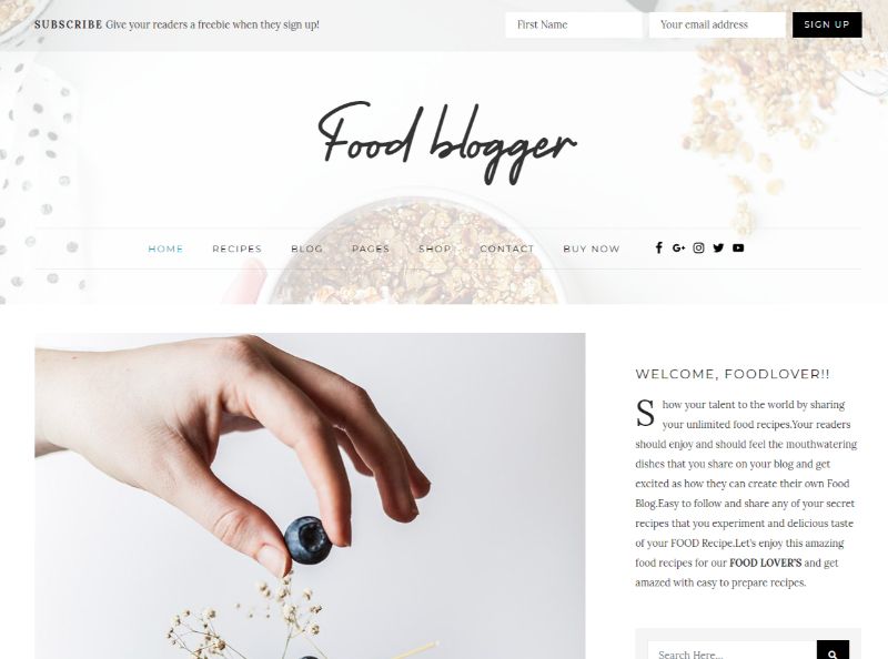 Food Blogger wordpress food theme