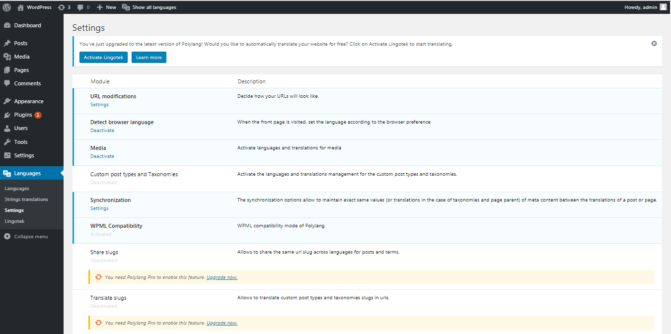 Polylang Plugin Settings