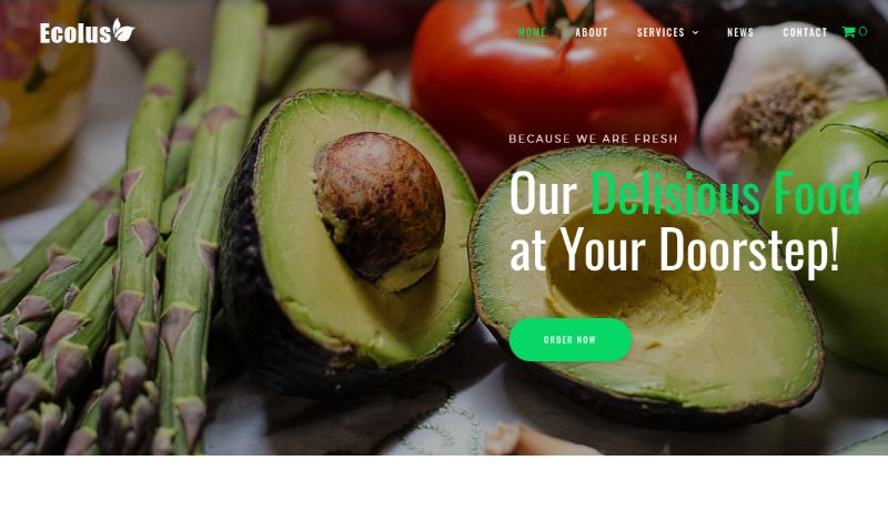 Ecolus wordpress food theme