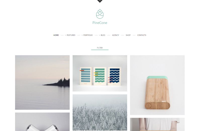 PineCone portfolio WordPress theme