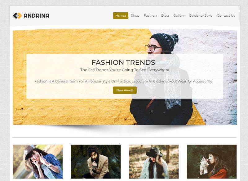 Andrina WordPress Fashion Theme