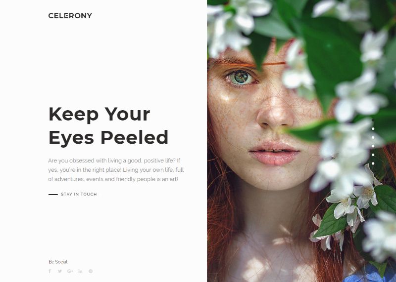 celerony-creative-wordpress-theme