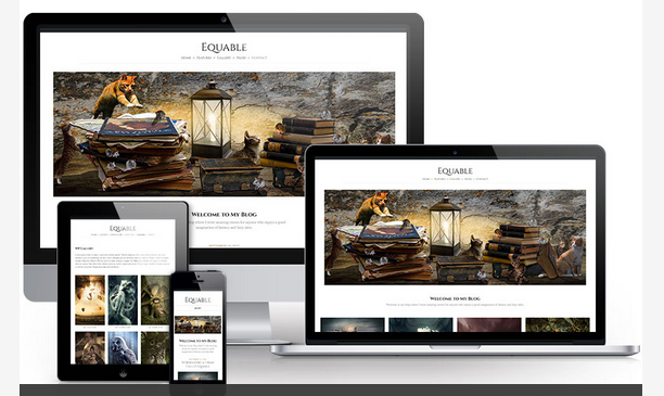 Equable WordPress magazine theme