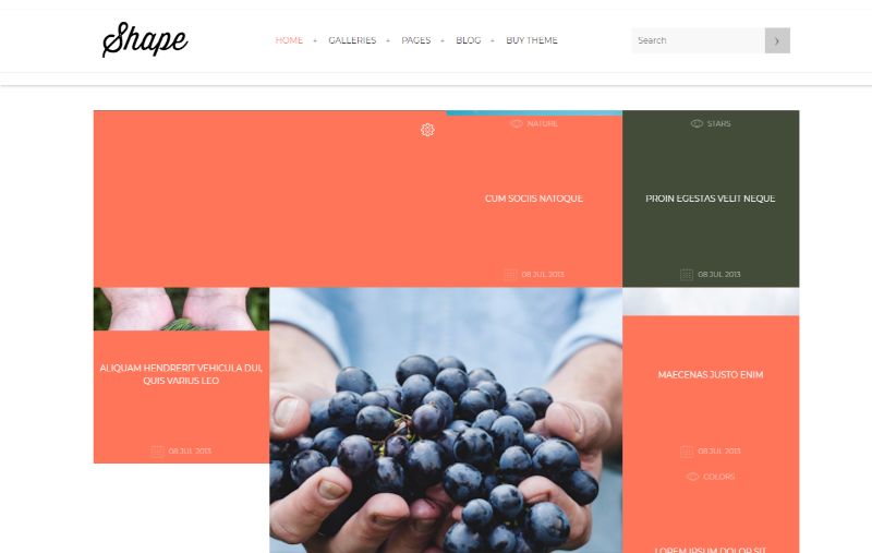 Shape portfolio WordPress theme