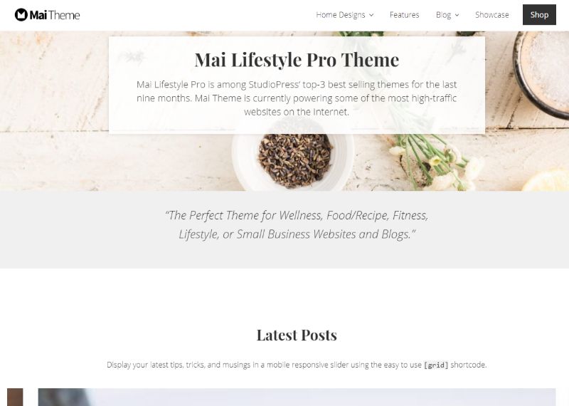 Mai Lifestyle WordPress Fashion Theme