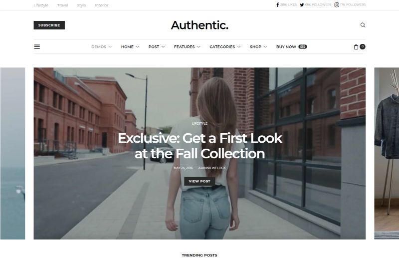 Authentic Lifestyle WordPress Theme