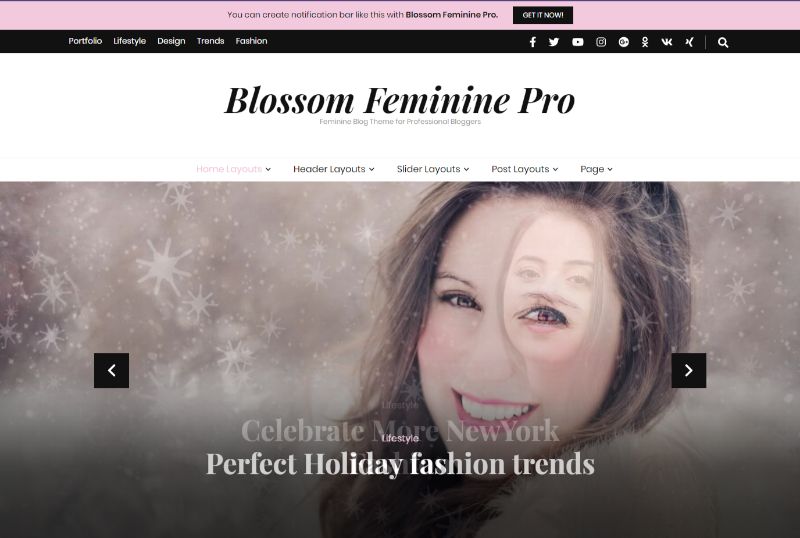 Blossom Feminine Pro Feminine WordPress Theme