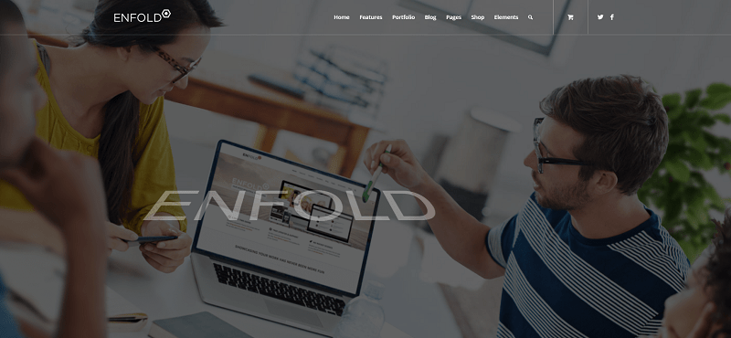 Enfold Multipurpose WordPress Theme