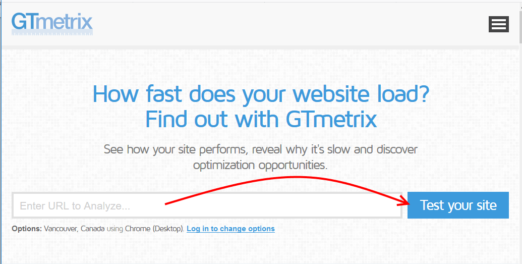 Enter website url in Gtmatrix