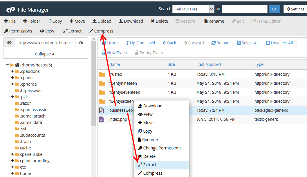 Extract theme file using filemanager