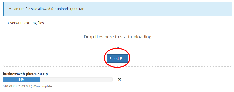 Select and upload theme via filemanager