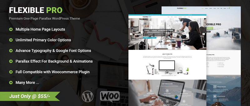 Flexible Pro Multipurpose WordPress Theme