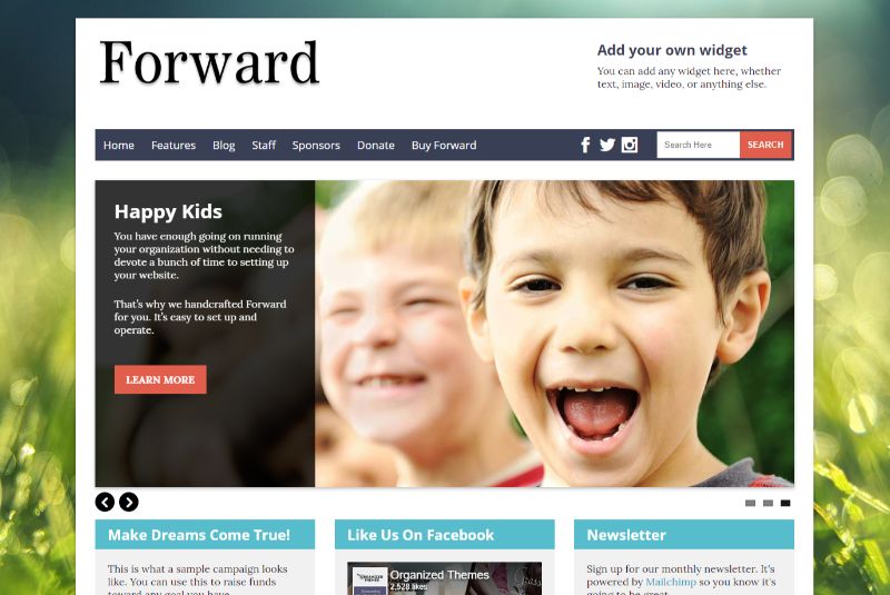 Forward WordPress Charity Themes