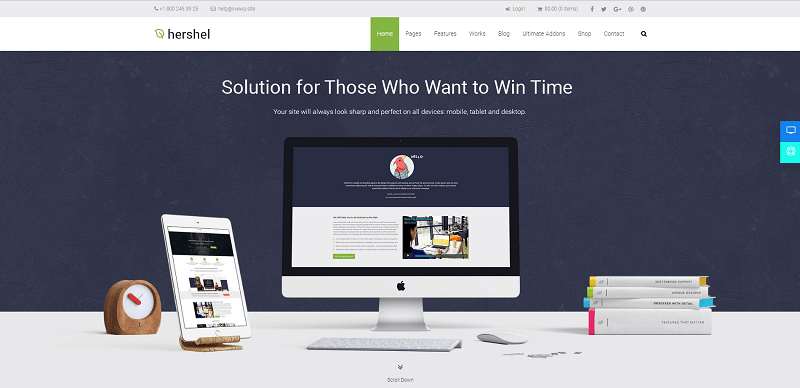 Hershel Multipurpose WordPress Theme