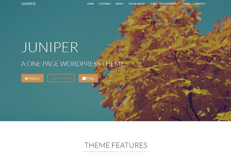 Juniper One Page WordPress Themes