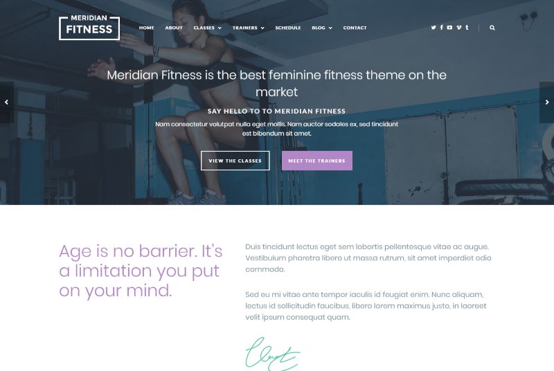 Meridian Feminine WordPress Theme