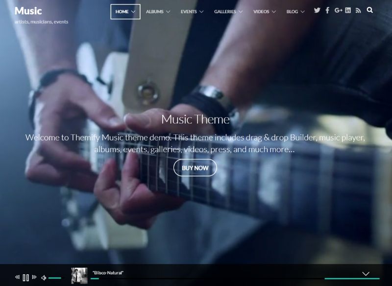 Music WordPress Music Theme