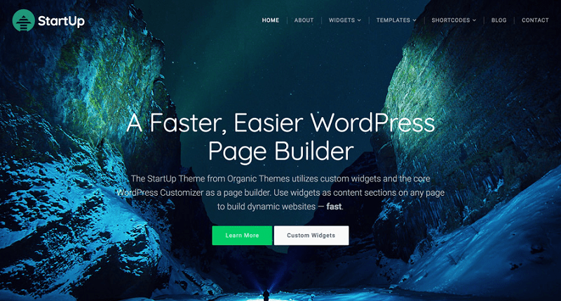 Startup Multipurpose WordPress Theme