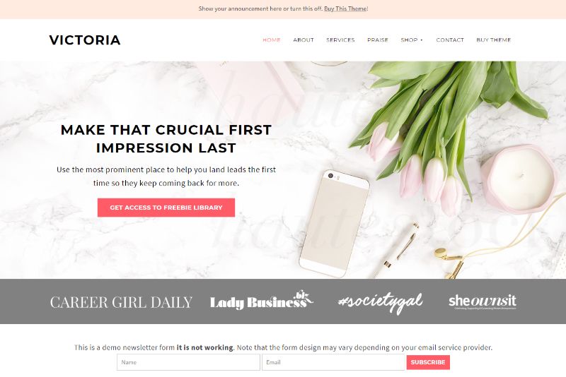 Victoria Theme Feminine WordPress Theme