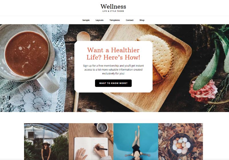 Wellness Pro Lifestyle WordPress Theme