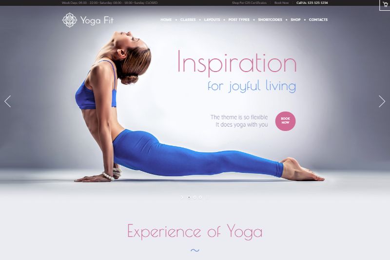 Yoga Fit Beauty WordPress Theme