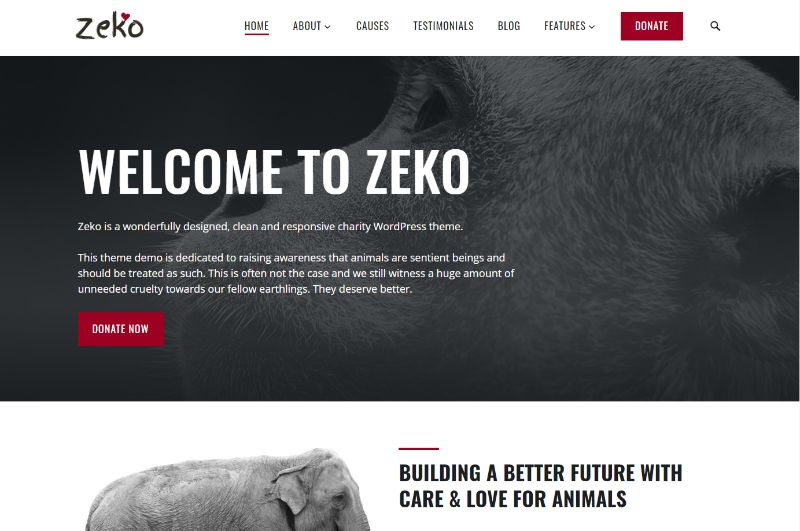 Zeko WordPress Charity Theme