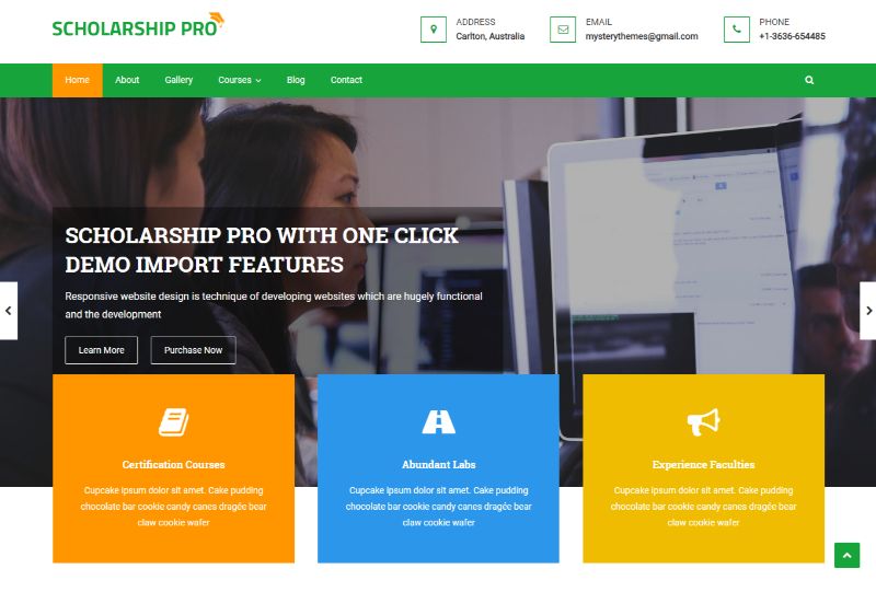 Scholarship Pro Education WordPress theme