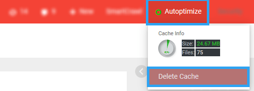 Autoptimize clear cache