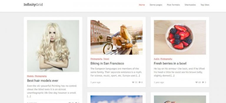 13+ Best Grid WordPress Themes to Showcase Your Portfolio or Products ...
