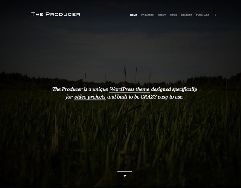 The Producer WordPress Movie Film Theme