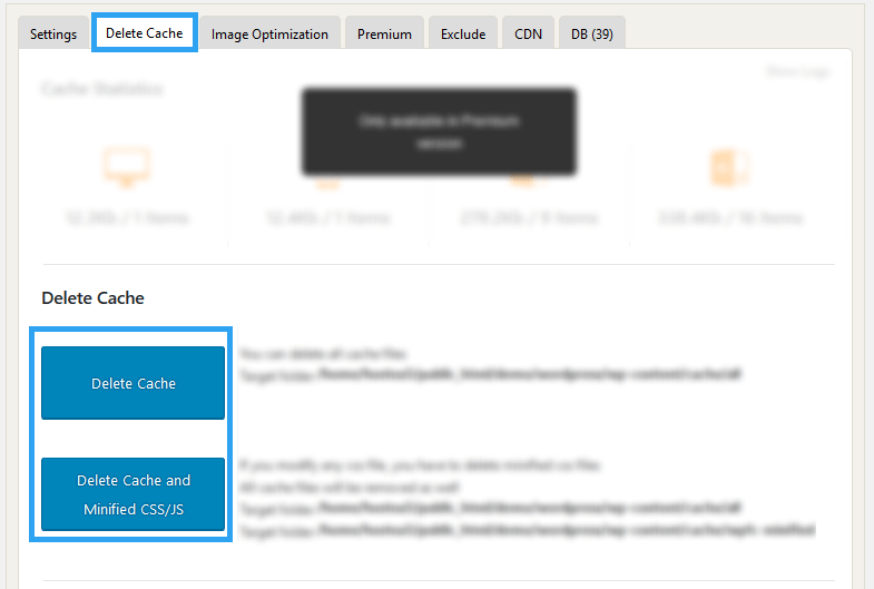 webview2 clear cache