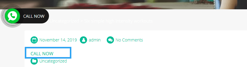 HTML Call Now WordPress