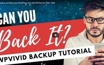 Backup and Move your WordPress Site with WPVivid for FREE- 2020