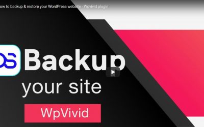 How to backup & restore your WordPress website – Wpvivid plugin