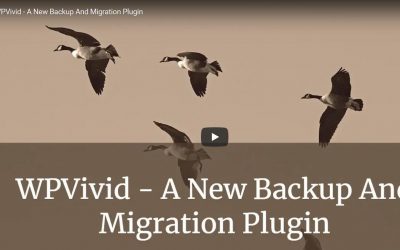 WPVivid – A New Backup And Migration Plugin